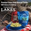 Thousand Lakes Freeze Dried Vegetables - Broccoli Florets - Bulk