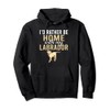 Lab Retriever Id rather be home with my Labrador Pullover