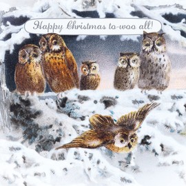 Museums & Galleries Artistic Christmas Card - For All of You - 'To Woo All' - Owl Family Illustration - From the V&A Range