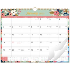 2025 Calendar - 2025 Wall Calendar, Jan. 2025 - Dec. 2025, 12 Monthly Calendar with Thick Paper, 15" x 11.5", Twin-Wire Binding + Hanging Hook + Unruled Blocks with Julian Date - Green
