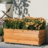 ScienGarden Wooden Garden Bed Planter Box - 31.5Wx15.75Dx12.6H Inch Outdoor