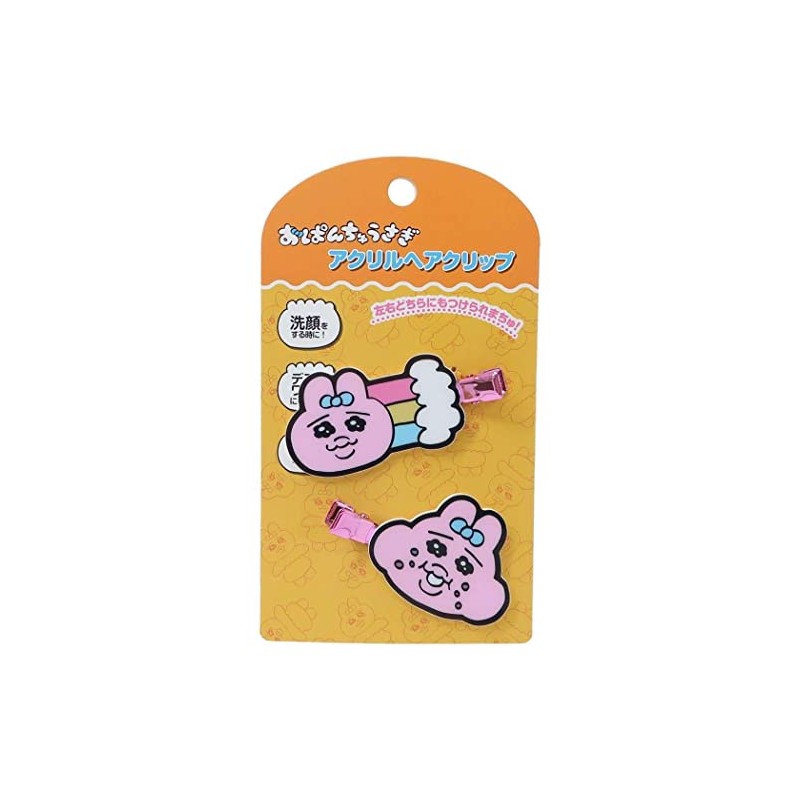 Panchusagi Acrylic Hair Clips (3)