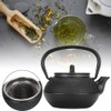 Iron Tea Pot Small Particle Teapot with Stainless Steel Infuser