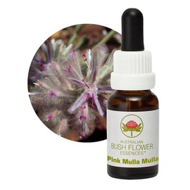 Pink Mulla Mulla 15 ml Stockbottle Australian Bush Flower Essences