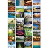 the lazy panda card company Nature Selection Postcards: 32 Different