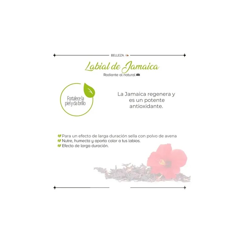Karol Cosmetics Labial De Jamaica Cosmetico Vegetal