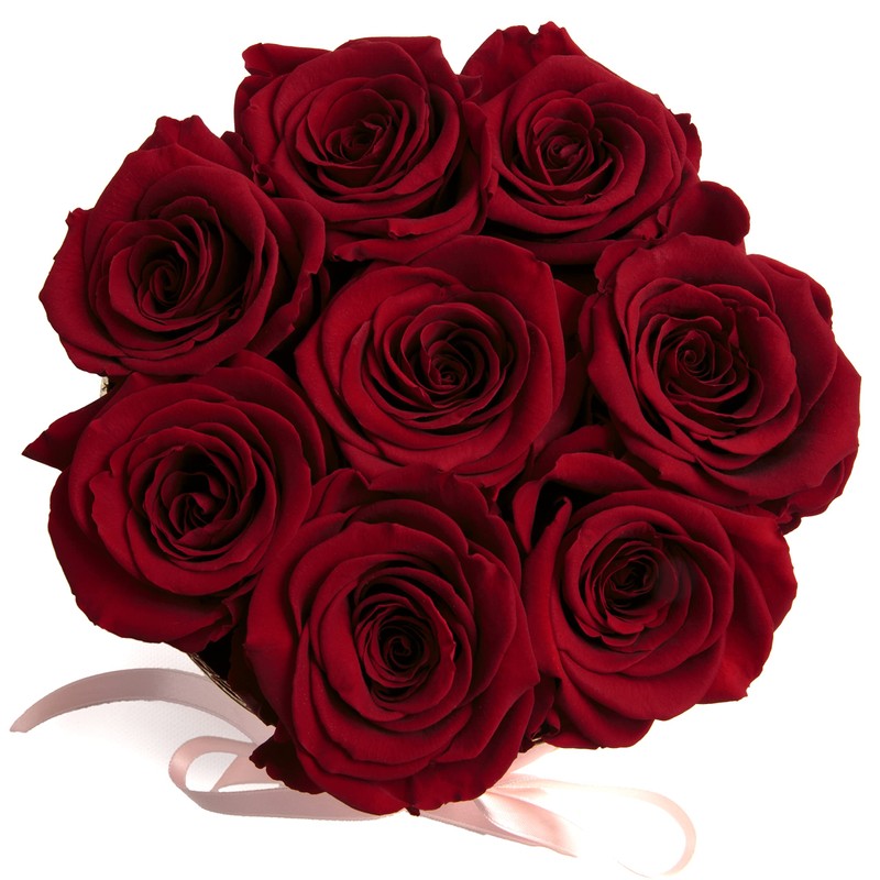 ROSEMARIE SCHULZ Heidelberg Rose Box Pink Round Infinity Roses -