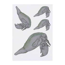 4 x 'Manatee Mother & Calf' Temporary Tattoos - Water Resistant, Skin-Safe, Non-Toxic Transfers, Mixed Sizes (TO00041939)