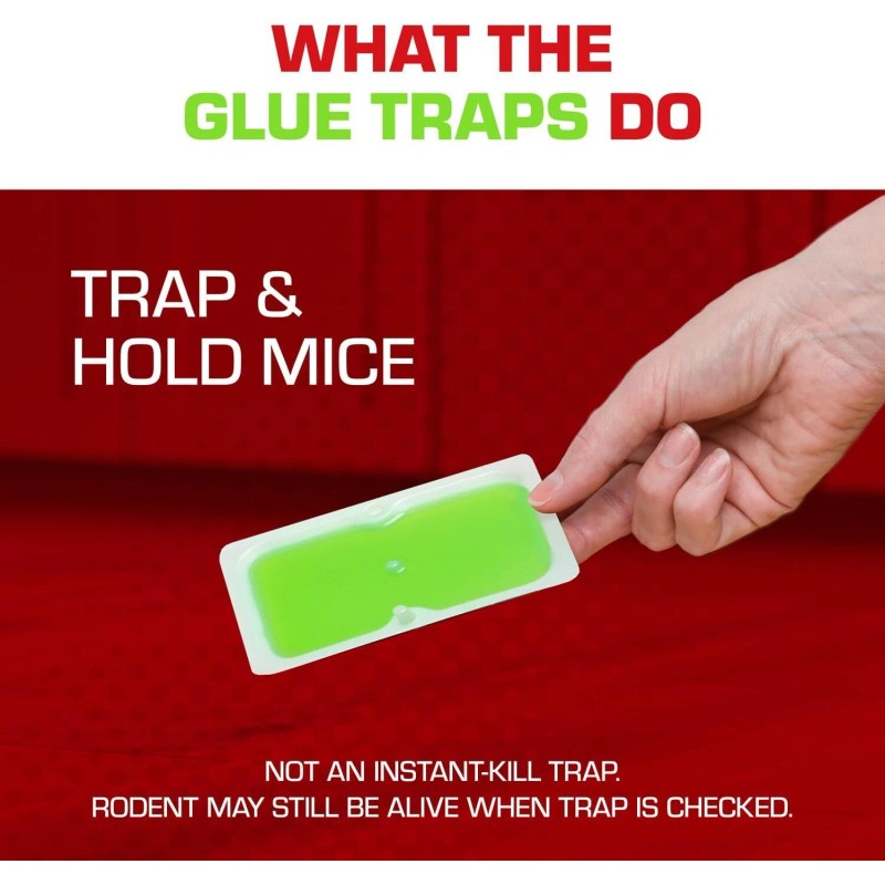 Tomcat Super Hold Glue Traps Mouse Size, Contains 4 Traps