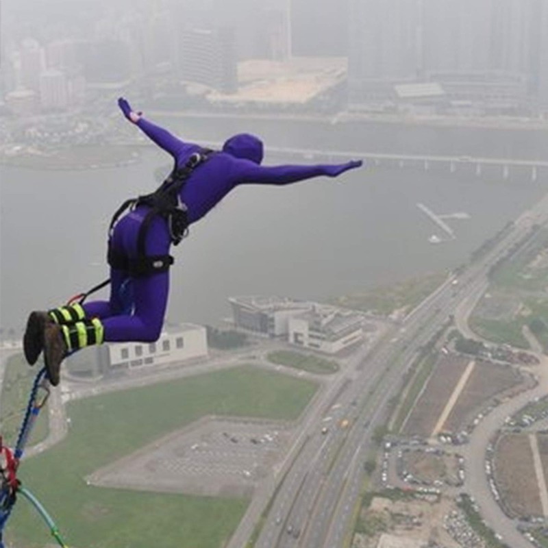 Morphsuits Morphsuit Original, Purple, X-Large