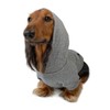 DJANGO Fully Lined Hoodie for Dog - Soft, Stretchy, and