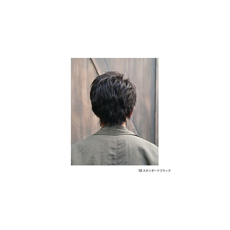 Priscilla MAN All Wig, Stylish Short, MA-100, Heat Resistant, AB,