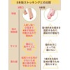 Himemaru Below Knee Open Toe Stockings Beige Open Toe Stockings