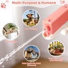 2 Pack Squirt Spray for Cats Dogs Training Squirt for