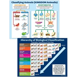 ZOCO - Biology Poster 2 Pack: Hierarchy of Biological Classification (Taxonomy of the Dog) & Classifying Animals (Kingdom Animalia) - Laminated 17 x 22 inches - Science Classroom Decor