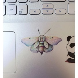 Fig Tree Works Light Moth Sticker | For Computers, Journals, Phones | Clear Transparent Vinyl