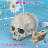 Sugarello Reptile Shelter Hideaway Terrarium Cage Reptile Breeding Aquarium Decoration