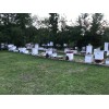Rent A Hive Bee Rescue 10 pack Swarm Pro Snap