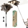 Extendable Ostrich Feather Duster 26"-79", Real Fluffy Ostrich Feather Duster,