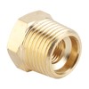 Fydun Pipe Bushing NPT Brass Pipe Fitting Reducing Adapter NPT