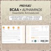 BCAA Powder 3 x 300 g Mandarin - Test Winner
