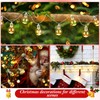 Aurelema 2 Pcs Christmas Lights 6.6ft 10 LED Bulbs Snowball