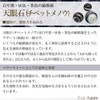 Shinjuku Ginnokura Hematite Bracelet, 0.3-inch (8 mm) Beads, 6.5-7.9" (16.5-20.5