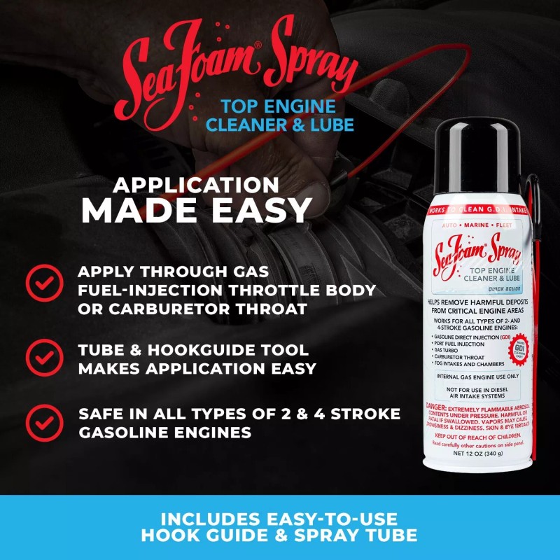 Sea Foam Spray Intake Valve and Upper Engine Cleaner SS14
