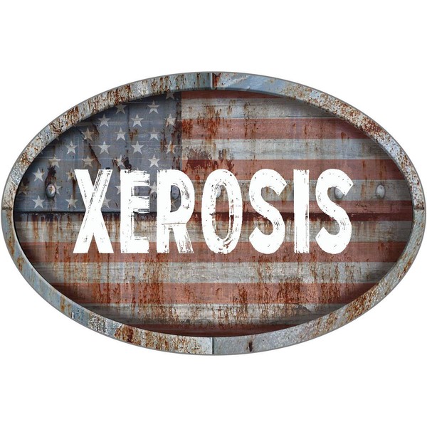 XEROSIS Patriotic American Flag Rusty Rustic Metal 6" Oval Shaped