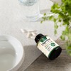 Digestive Enzymes - Multi Enzyme Complex with Bromelain, Papain, Probiotics