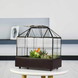 YIMORENCE V Large Tall Plant Terrarium Glass – Glass Greenhouse Terrarium with Lid and Tray,Indoor Tabletop Orchid Succulent Cacti Terrarium Kit 9.5”X9.8”X5.6”