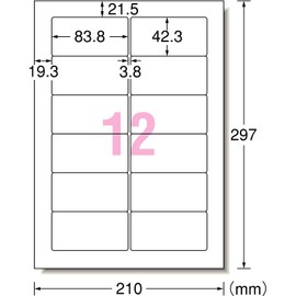 エーワン パソコン&ワープロラベル 汎用タイプ・インチ改行 12面 100シート 28184