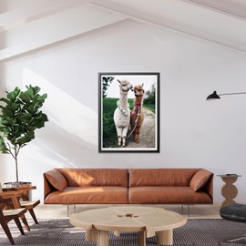 LOMSIOY DIY 5D Diamond Art Kits for Adults, Alpaca Diamond Painting Kits for Beginner, Animal Diamond Art with Round Full Drill Rhinestone Crafts Gem Arts for Home Wall Decor 12x16 inch 13