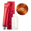 Tinte Para Cabello Igora + Peróxido Decolorante Schwarzkopf 6-77