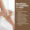 Cepillo Corporal Mejor Circulacion Exfolia Quita Piel Muerta