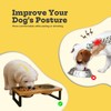 AASPIRE PETS Elevated Dog Bowls, 4” Small Dogs & Cats