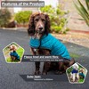 Henry Wag Quilted Dog Jacket - Stylish & Practical Dog