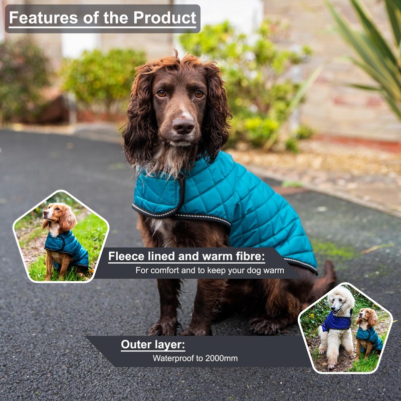 Henry Wag Quilted Dog Jacket - Stylish & Practical Dog