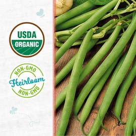 Back to the Roots - 100% Organic Seed Packet - Bean 'Kentucky Wonder Pole Green' 8.4g