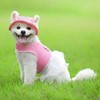 Leconpet Small and Medium Dog Mesh Harness Vest Comfortable Harness,