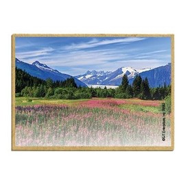 Wildlife Photography Magnet Series – Pink Flower Field Rustic Nature Photography Magnets for Fridge, Office, Cooler, Cabin Decor 2.5 x 3.5 inch (SJT09582)
