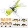 Complete Fly Fishing, Bristle Flies with Case, 5 Colors, Set