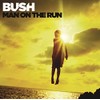 Man on the Run (Deluxe Version)