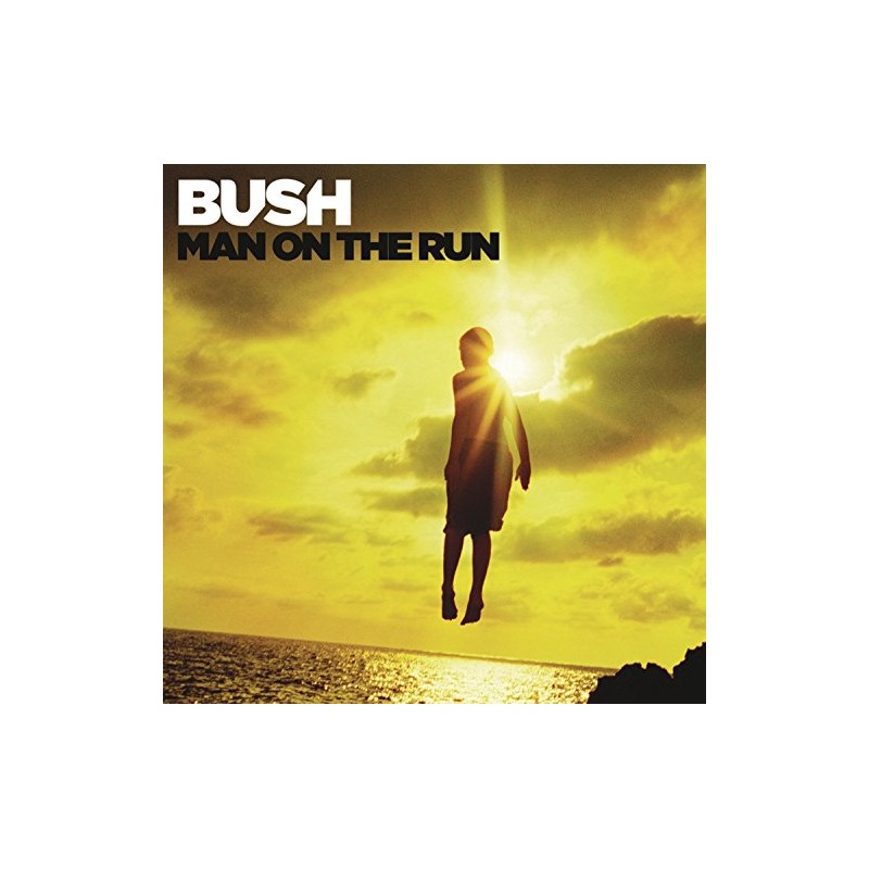 Man on the Run (Deluxe Version)