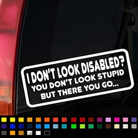 Not All Disabilities are Visible Funny Car Sticker, Disabled Funny Sticker Decal, Car Window Bumper Sticker, Funny Caravan Sticker, 200mm