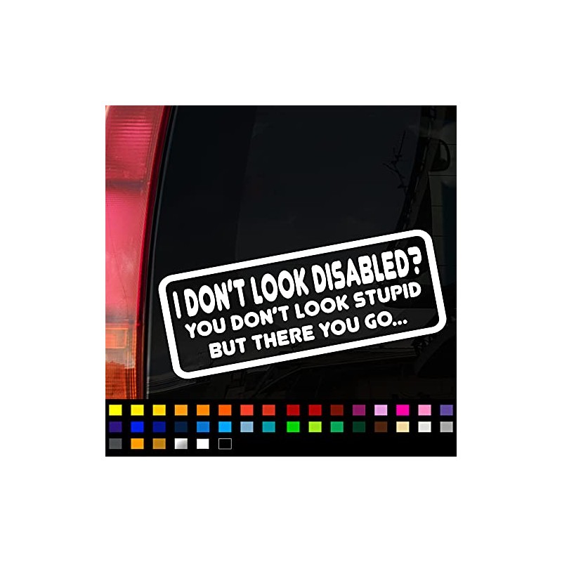 Not All Disabilities are Visible Funny Car Sticker, Disabled Funny