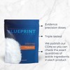 Blueprint Bryan Johnson Creatine Monohydrate Powder – Amino Acid Powder