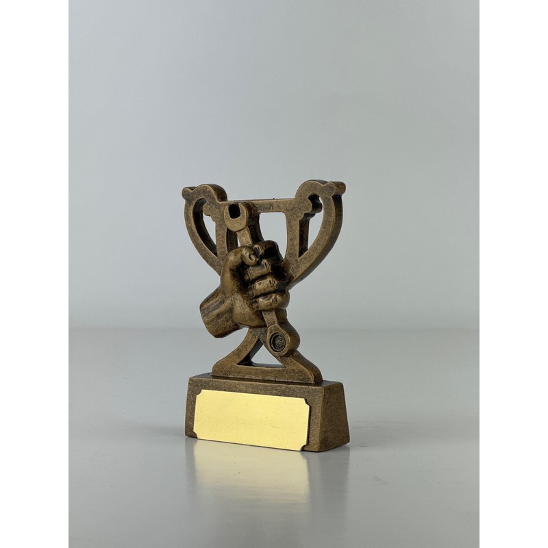 SilverTrophy: Fix It Gold Trophy Prize - Repair Wizard, Reward