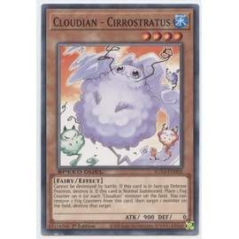 Cloudian - Cirrostratus - SGX3-ENH05 - Common - 1st Edition