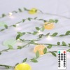 Lemon LED String Lights USB/Battery Operated Light String with Remote
